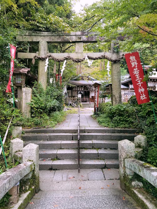 คลังภาพถ่ายฟรี ของ torii, คุมาโนะ เนียคุโอจิ, ชินโต