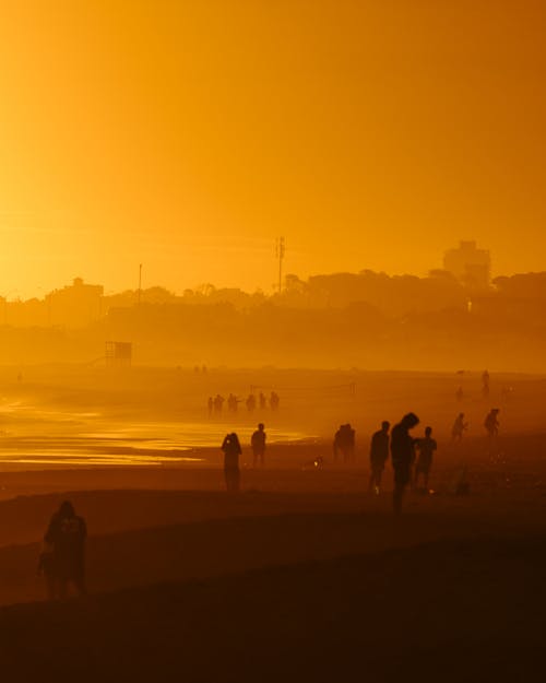 People on Beach on Sea Shore at Sunset under Yellow Sky