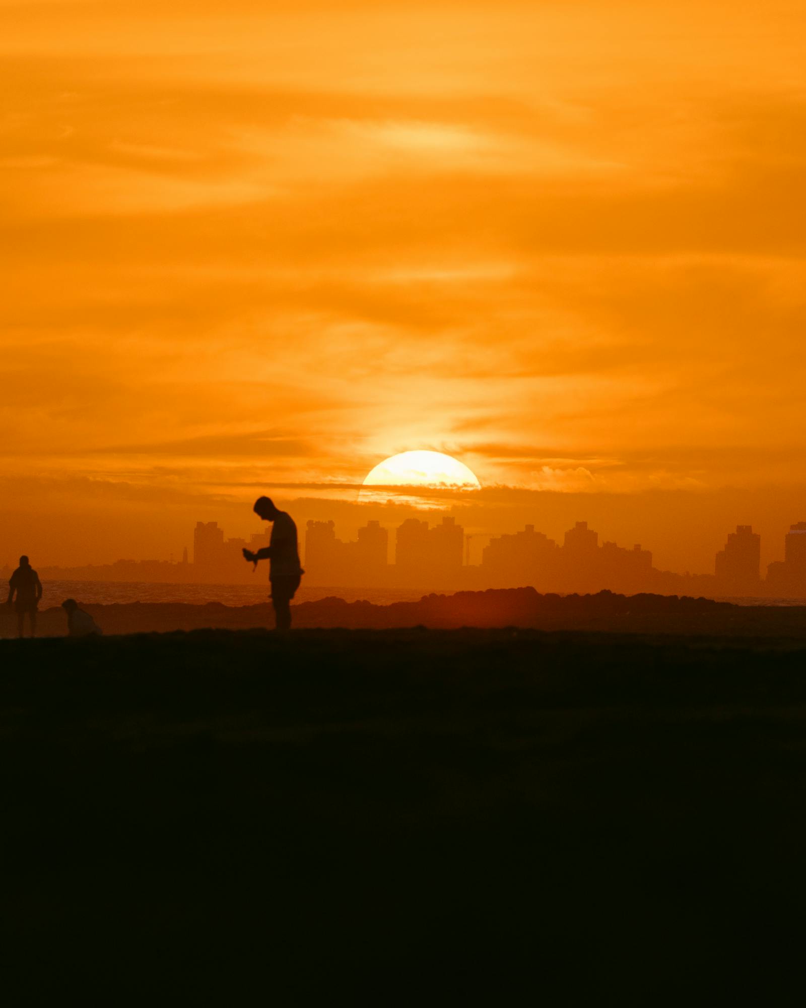 Punta Del Este Beach Photos, Download The BEST Free Punta Del Este 