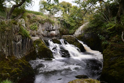 Waterfall on River in Forest