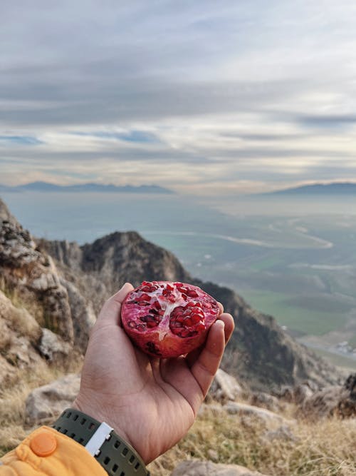 Hand Holding Pomegranate Half in Mountains