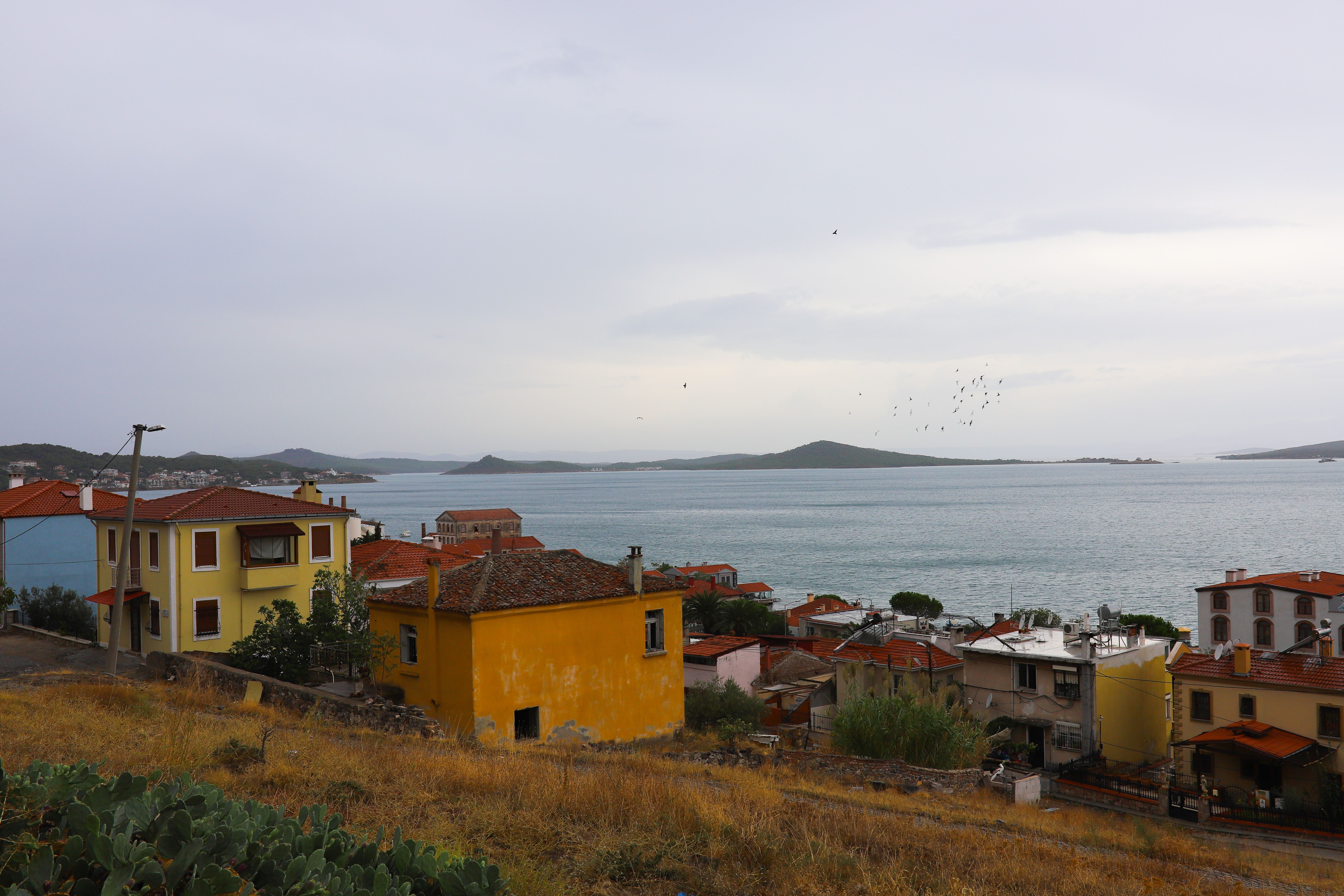 Plaj durağı