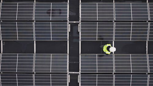 Worker Standing Between Solar Panels
