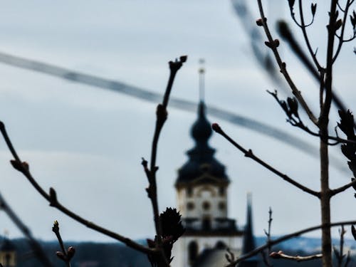 Gratis lagerfoto af kirke, kirkebygning