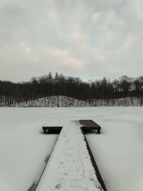 Ilmainen kuvapankkikuva tunnisteilla flunssa, jää, jäätynyt