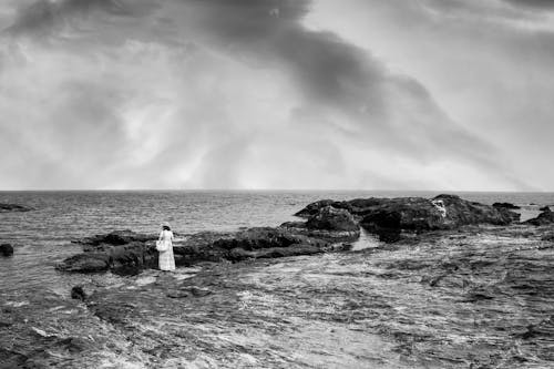 Foto d'estoc gratuïta de blanc i negre, d'esquena, dempeus