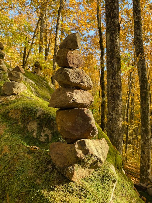 Kostenloses Stock Foto zu cairns, herbst, landschaft