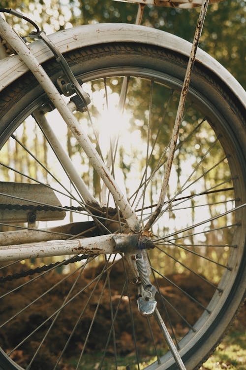 Rear Wheel of an Old Bicycle