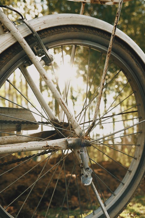 Immagine gratuita di avvicinamento, bicicletta, freno