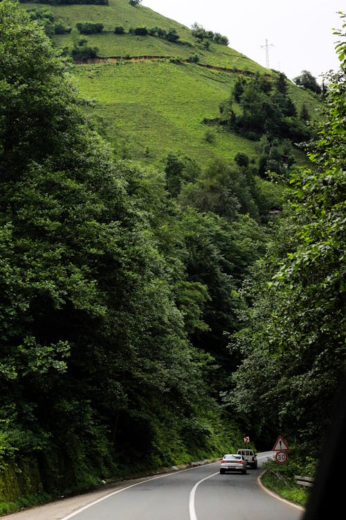 Darmowe zdjęcie z galerii z autostrada, dolina, drzewa