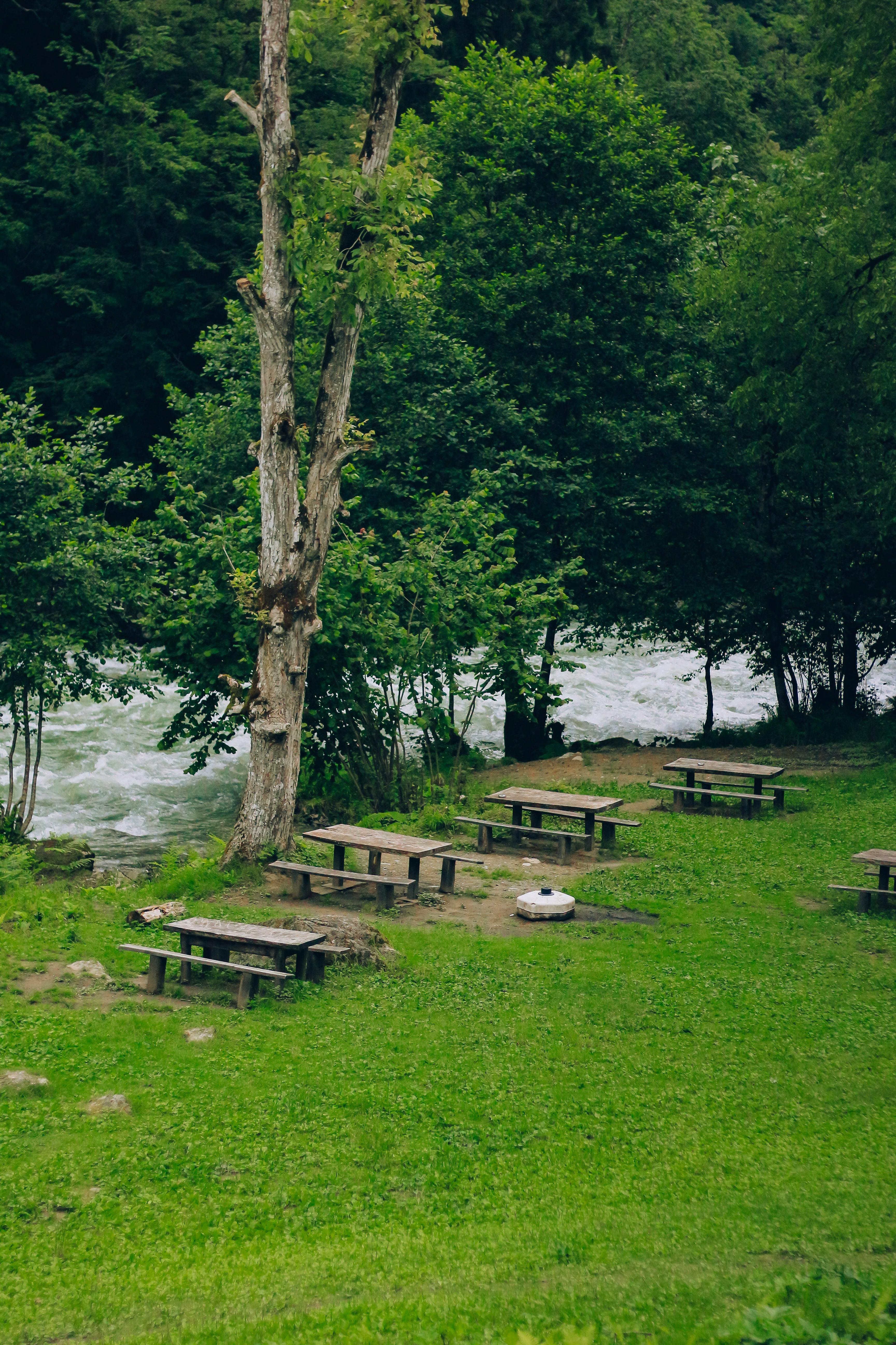 Tranquil riverside campsite with wooden benches and lush greenery, perfect for outdoor activities.