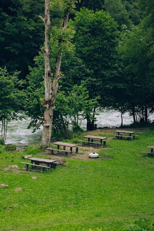 Campsite with Wooden Tables and Benches by River 