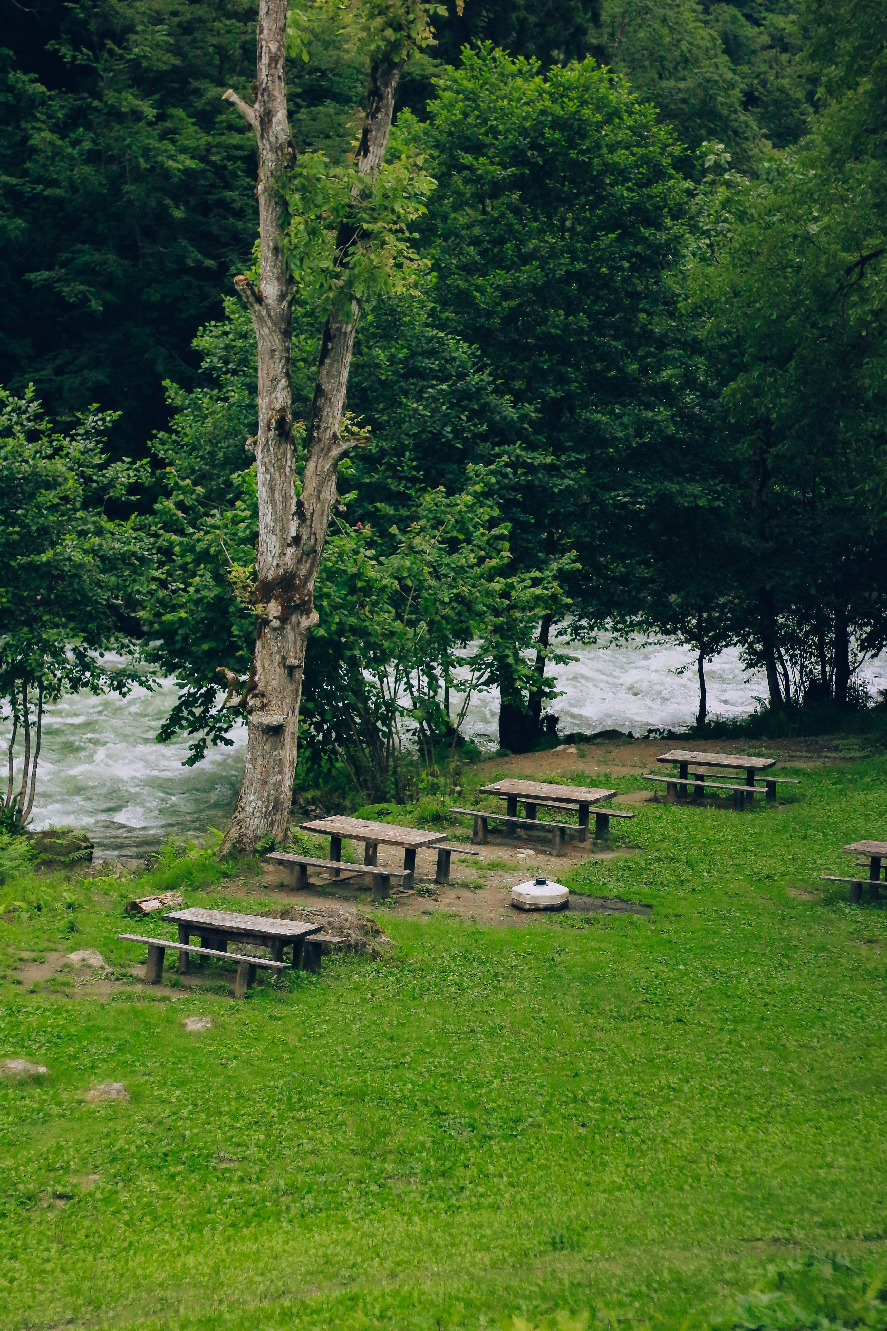 Campsite with Wooden Tables and Benches by River · Free Stock Photo
