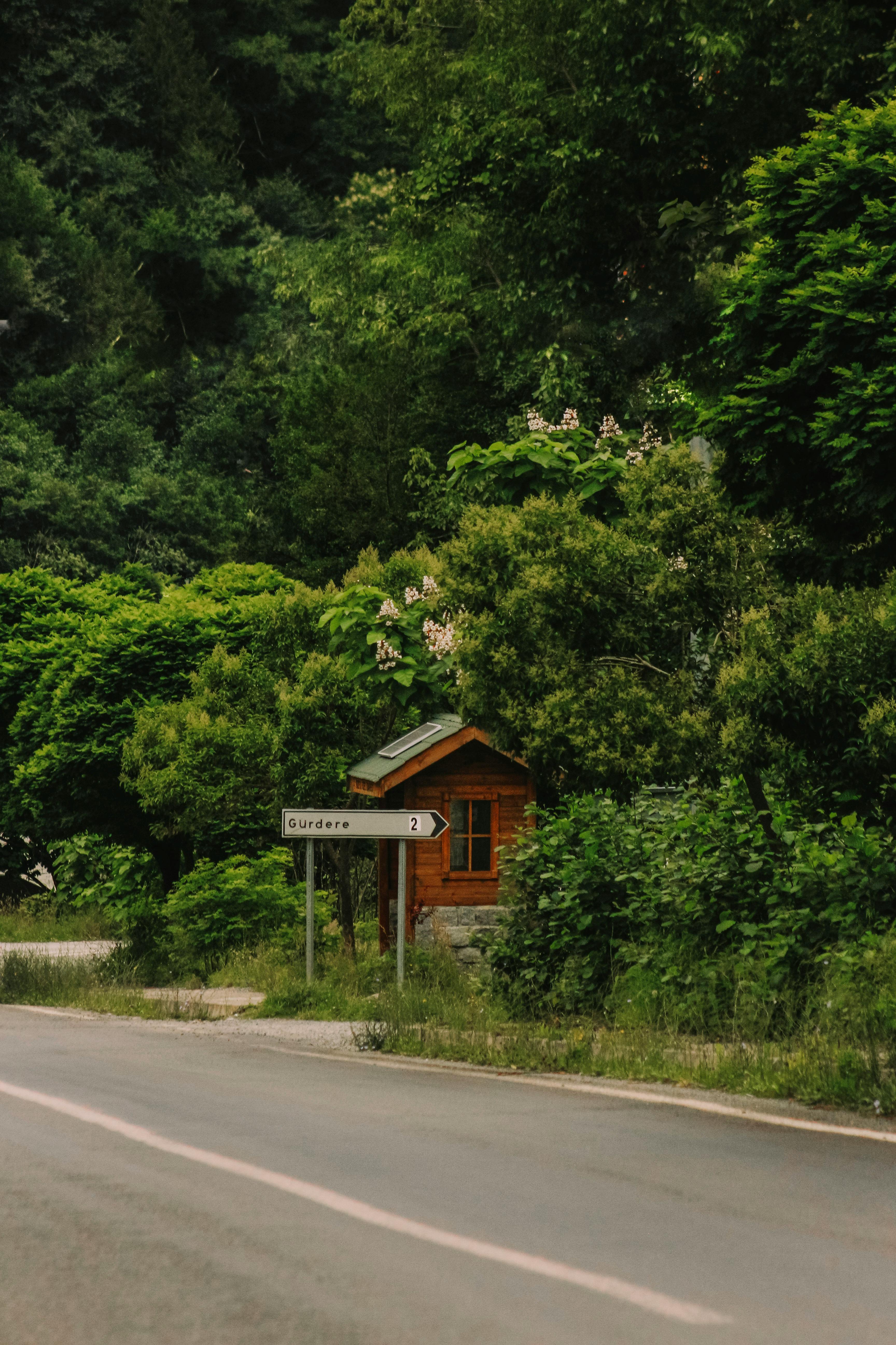 A quaint wooden cabin sits beside a forest road, surrounded by lush foliage, with a directional sign nearby.