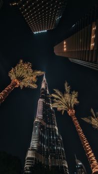 Low-angle night shot of the illuminated Burj Khalifa with palm trees and skyscrapers, highlighting Dubai's iconic skyline.