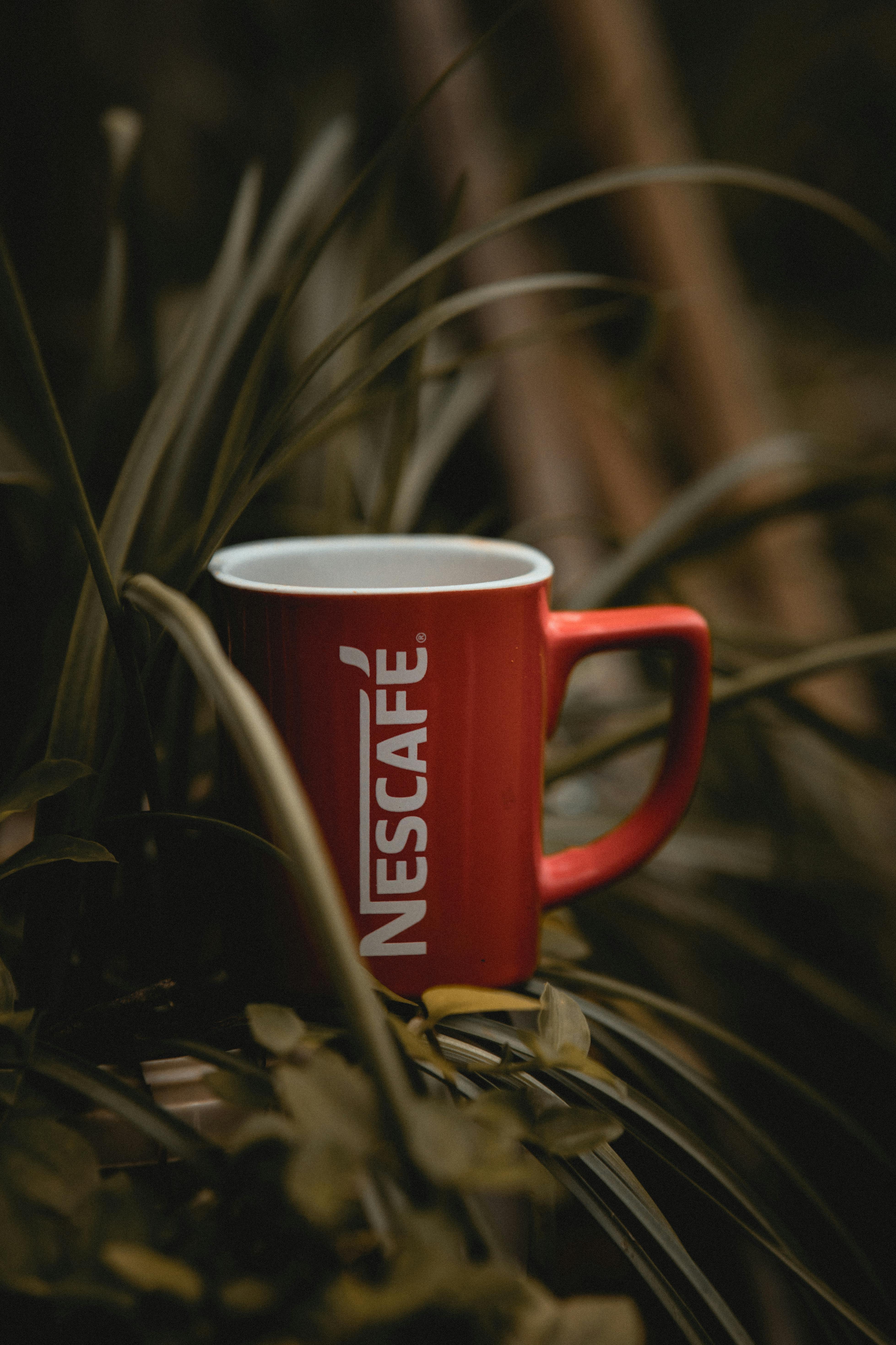 бесплатная Бесплатное стоковое фото с drinkware, kafe, nescafe Стоковое фото