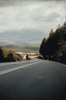 A winding road through a forest with mountains in the background under a cloudy sky.