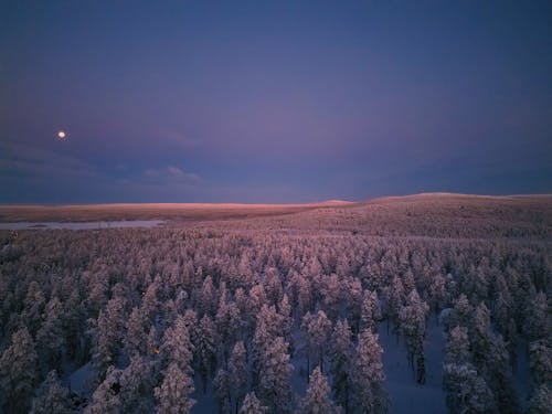 Gratis arkivbilde med daggry, Finland, fjell
