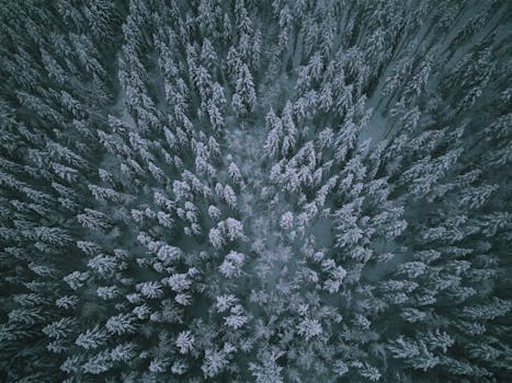Stunning aerial shot of a snow-covered forest in Finland, showcasing winter's serene beauty.