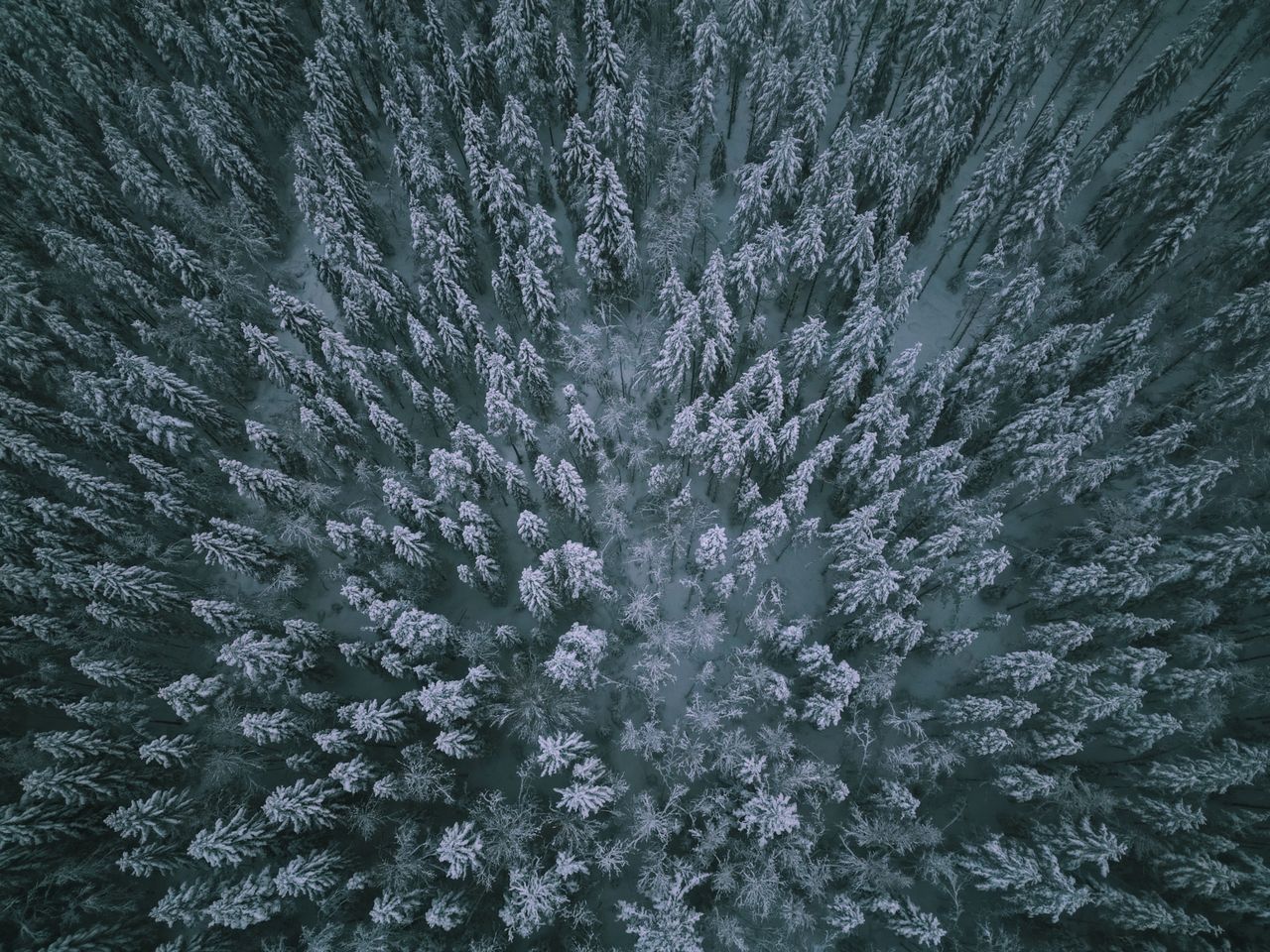 stunning aerial shot of a snow covered forest in finland showcasing wi