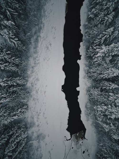 A black hole in the middle of a snowy forest