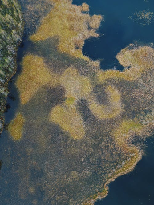 Foto d'estoc gratuïta de aiguamoll, foto des d'un dron, llac