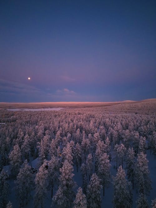 Kostnadsfri bild av berg, dagsljus, finland