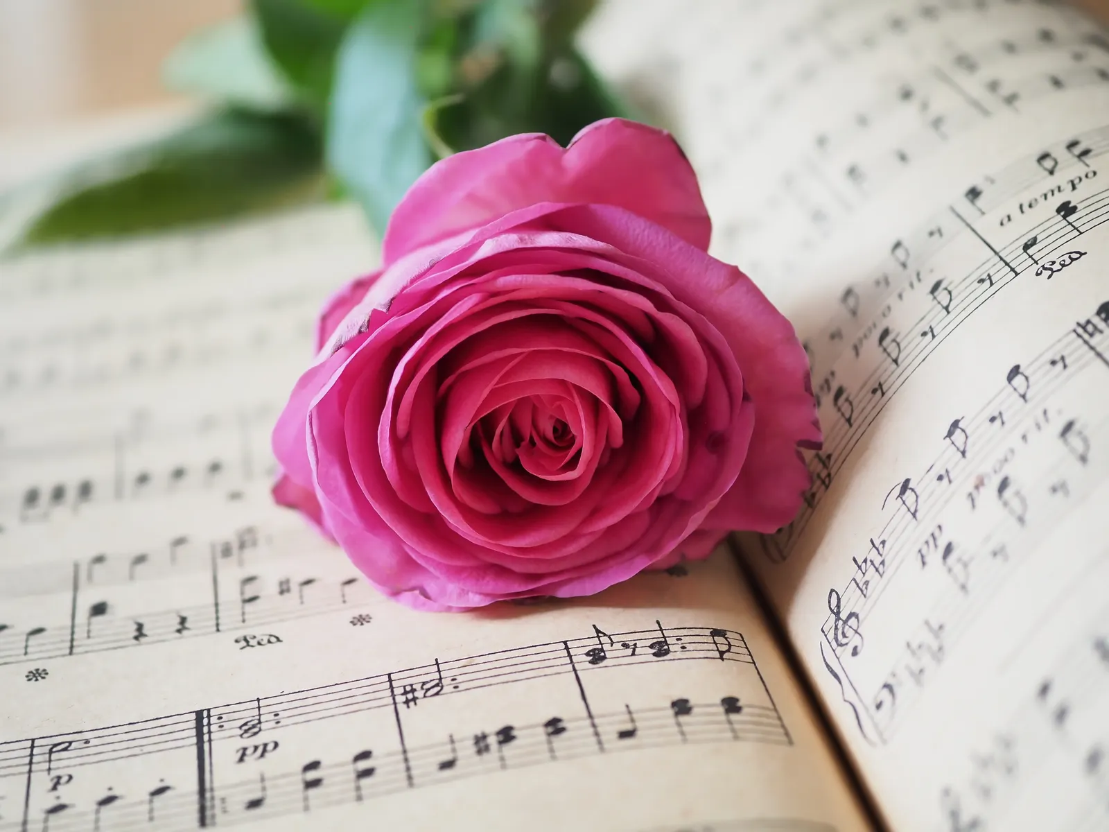 ANU School of Music - Lunchtime Concert
