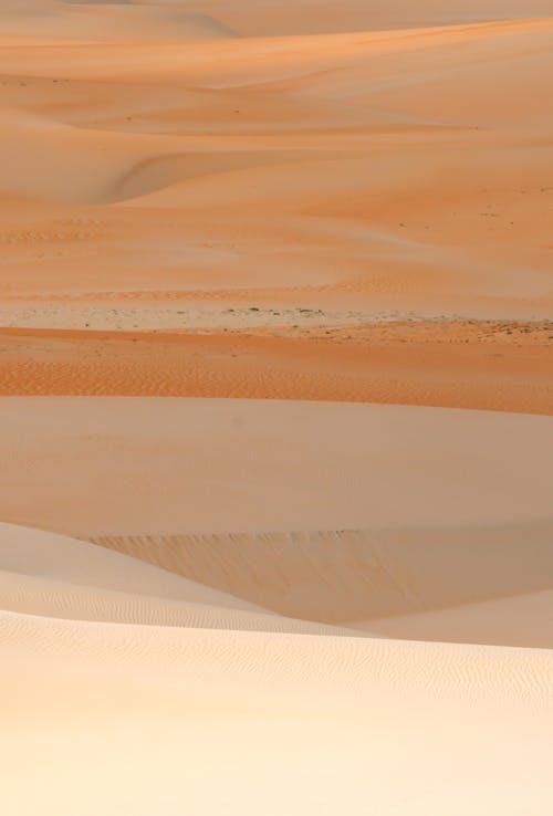 Barren, Yellow Desert