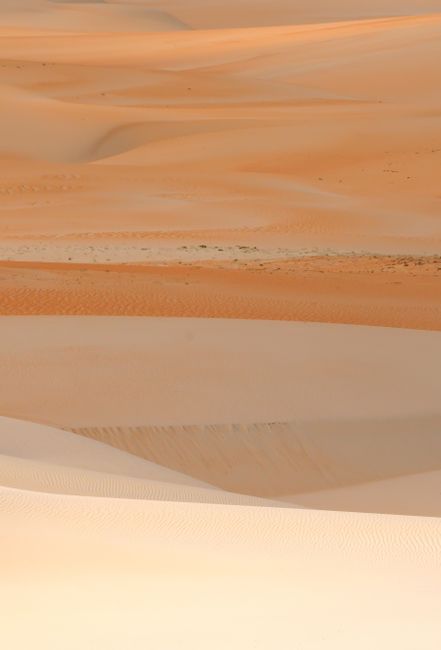 Beautiful layers of sand dunes under sunlight, showcasing the natural beauty of a vast desert.