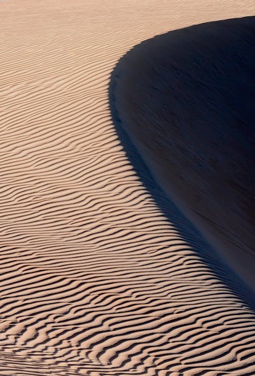 Shadow on Sunlit Desert