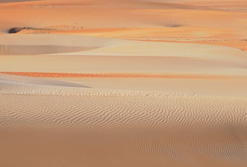 Barren Desert Scenery
