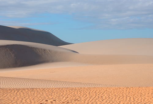 Dunes on Desert