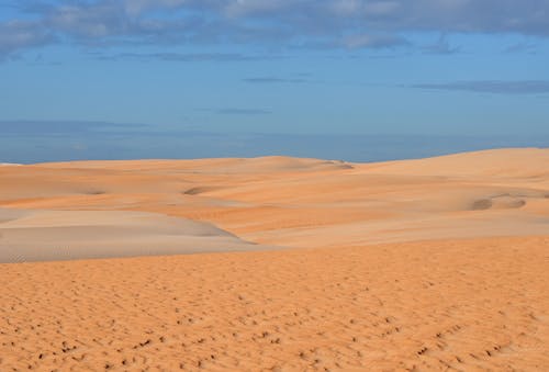 Landscape of Barren Desert