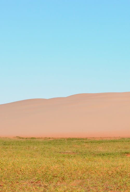 Grassland and Desert Hill behind