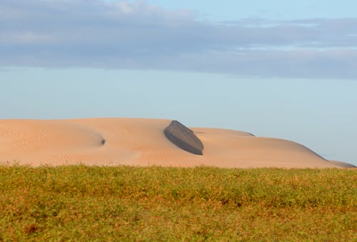 Grassland and Desert Hill behind