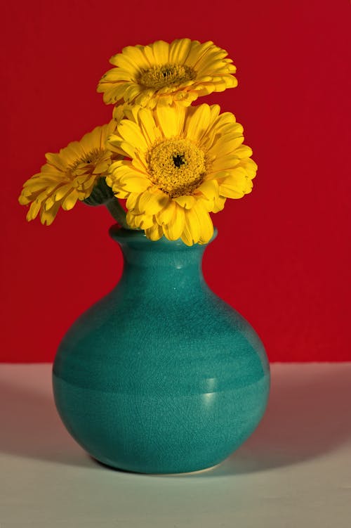 꽃, 꽃병, 노란색의 무료 스톡 사진