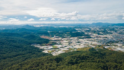 Fotos de stock gratuitas de bosque, campos, fotografía aérea