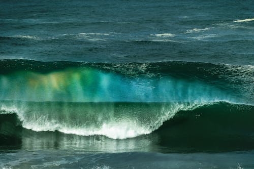 Blue Wave on Sea Shore