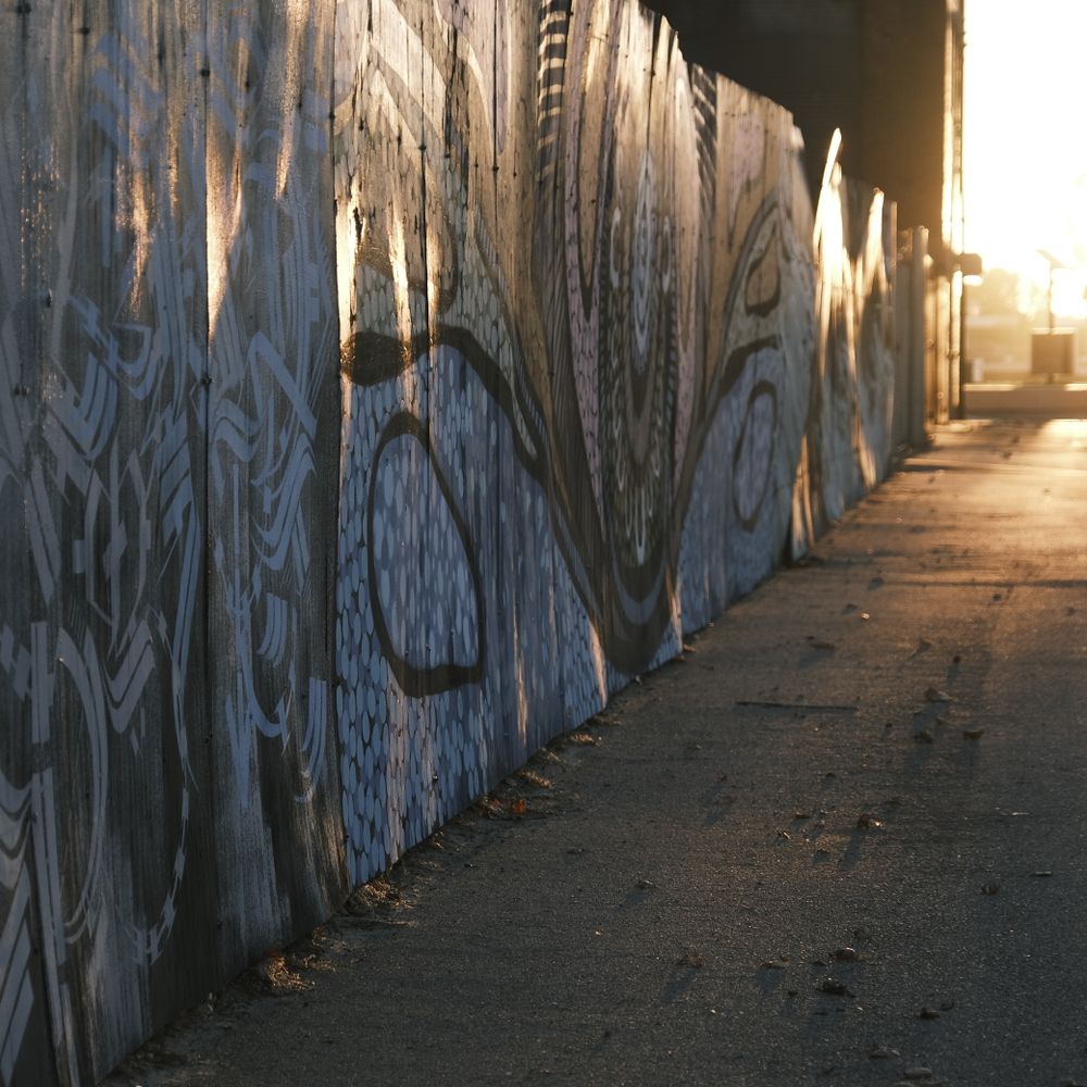 Fence and Decking Painting in Cubitt Town — dust sheets down and the room fully protected