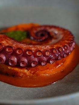 Close-up of a gourmet octopus dish elegantly presented with vibrant sauce.