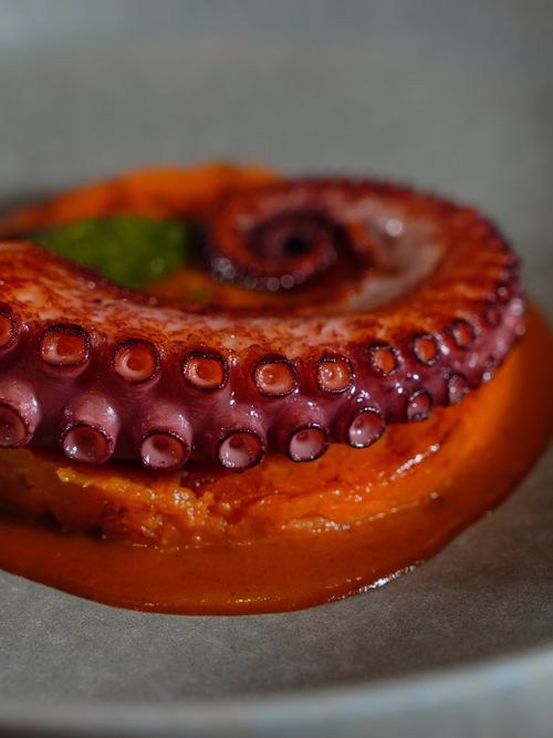 Free Close-up of a gourmet octopus dish elegantly presented with vibrant sauce. Stock Photo
