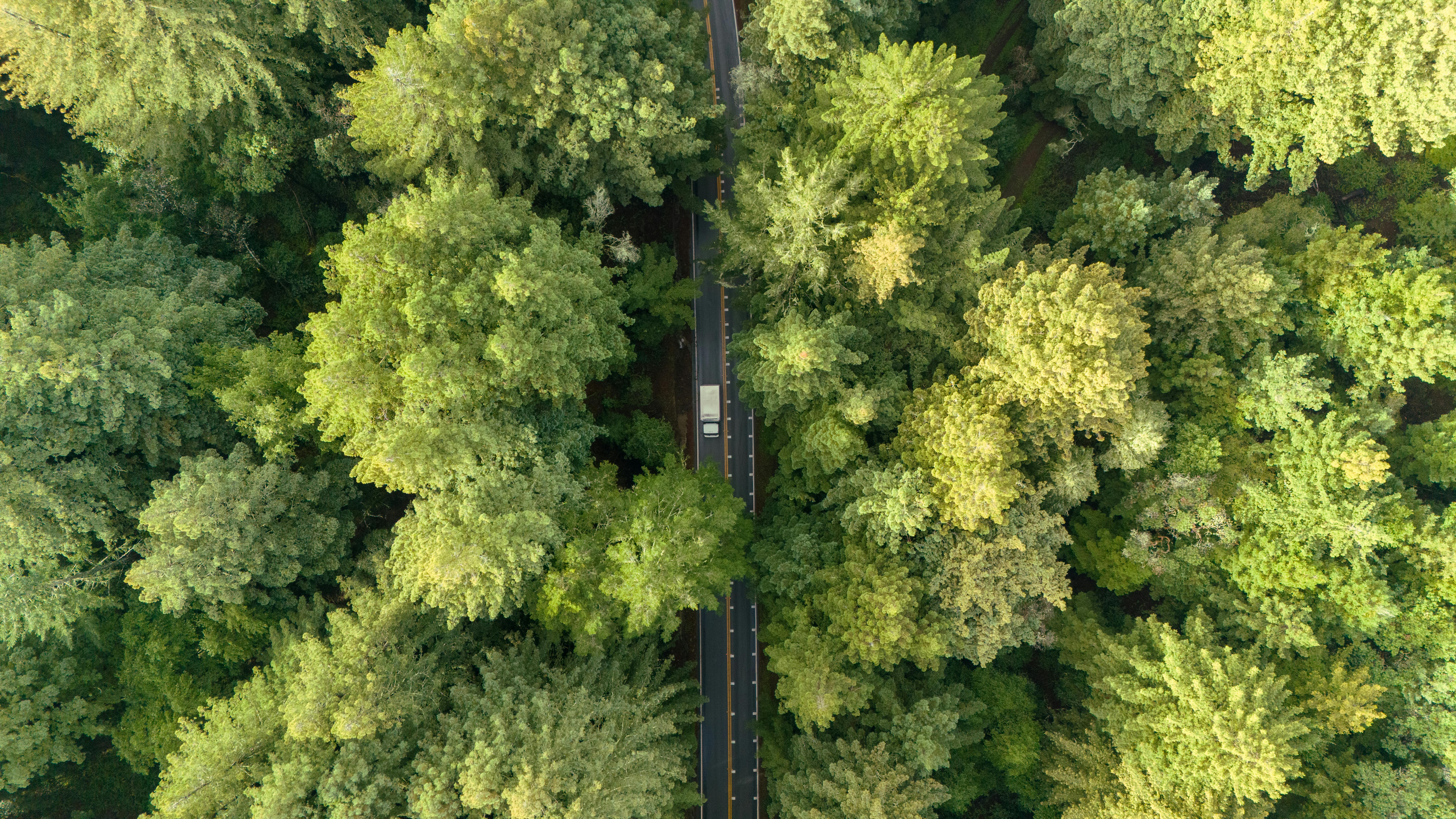 evs explained green transportation — Photo by Mazin Omron on Pexels