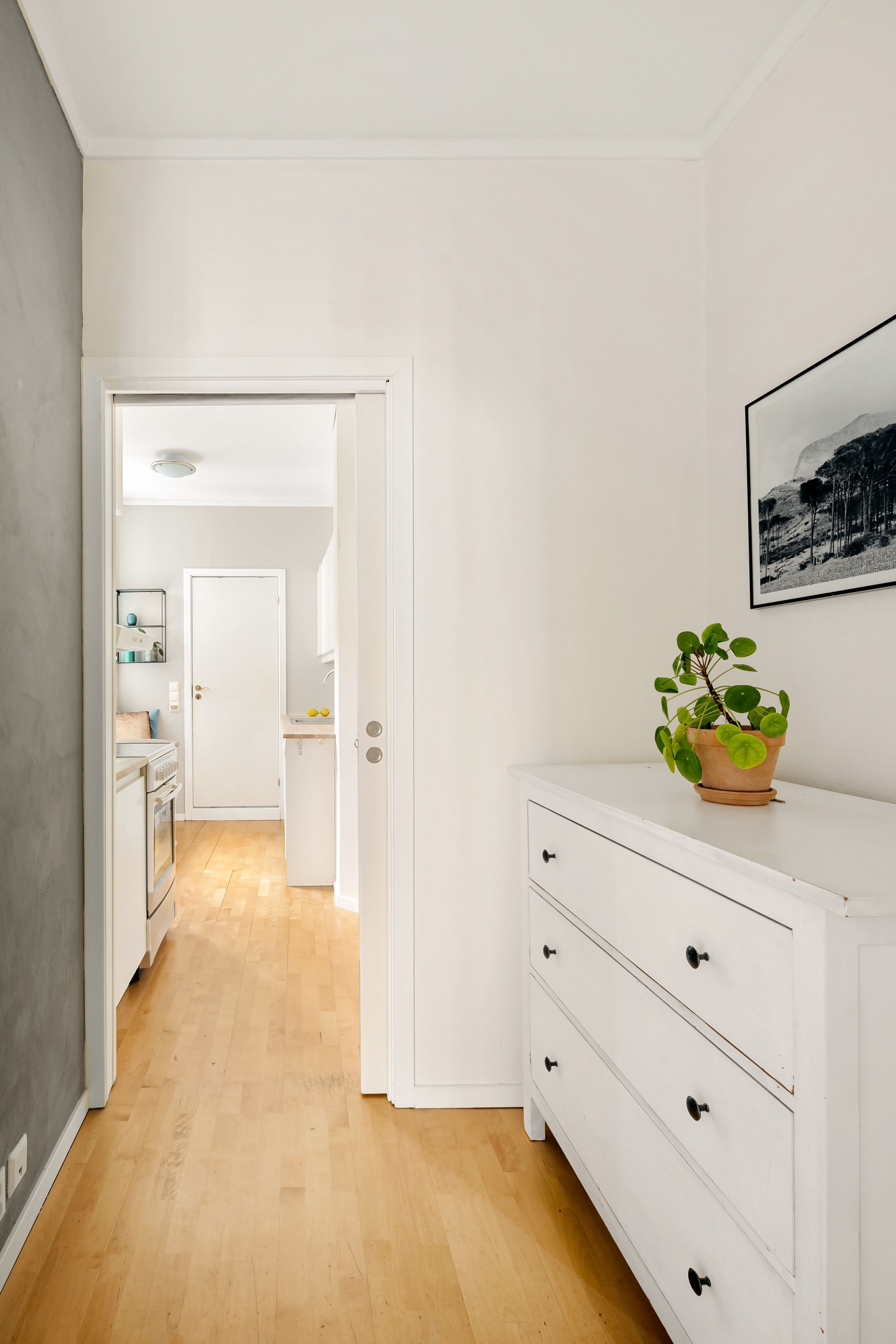 Bright, styled rental apartment hallway with white dresser and potted plant — budget-friendly decor ideas