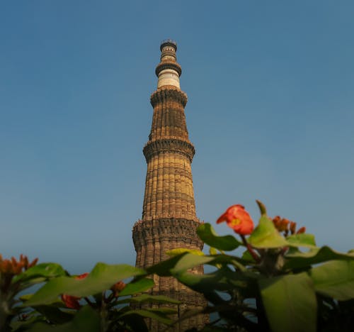 Free stock photo of india, qutub minar