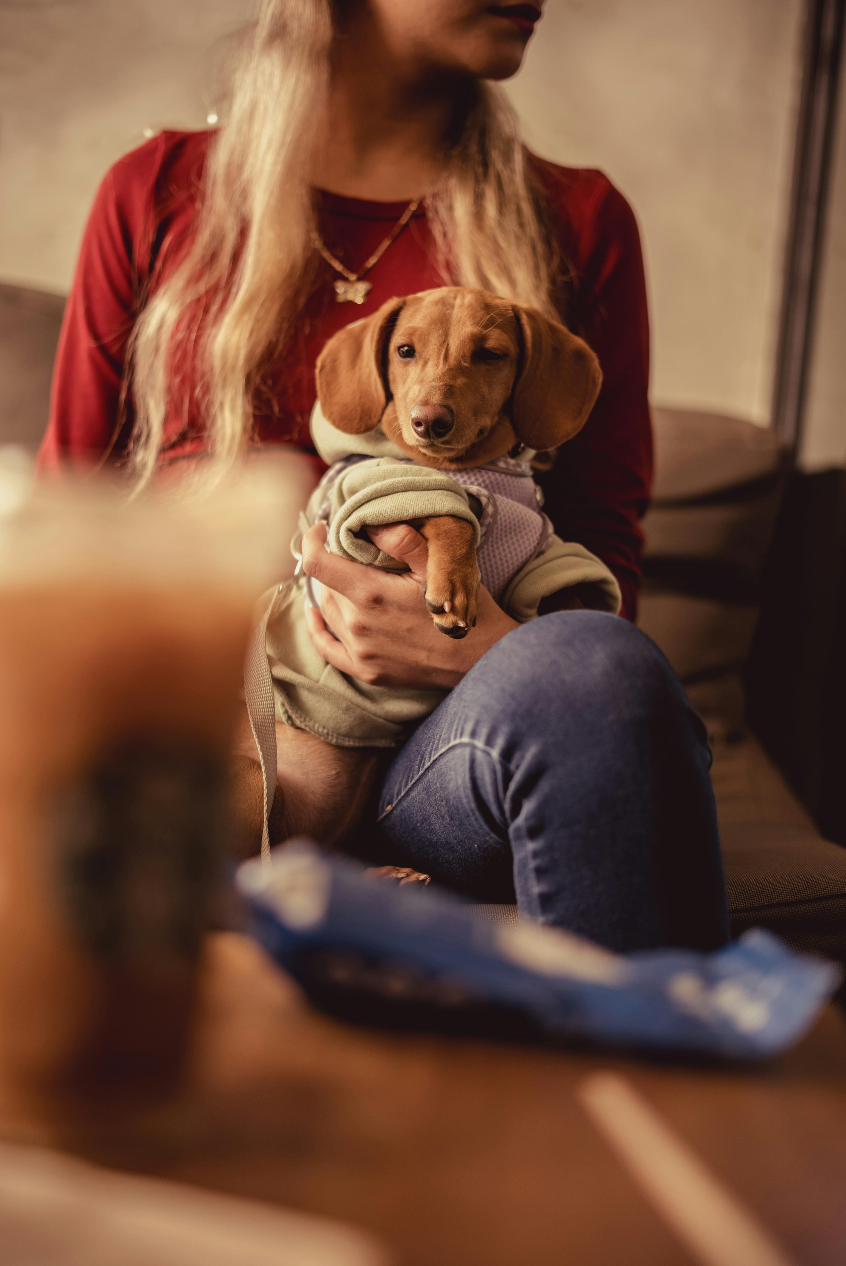 a woman holding her dachshund wearing dogs clothing