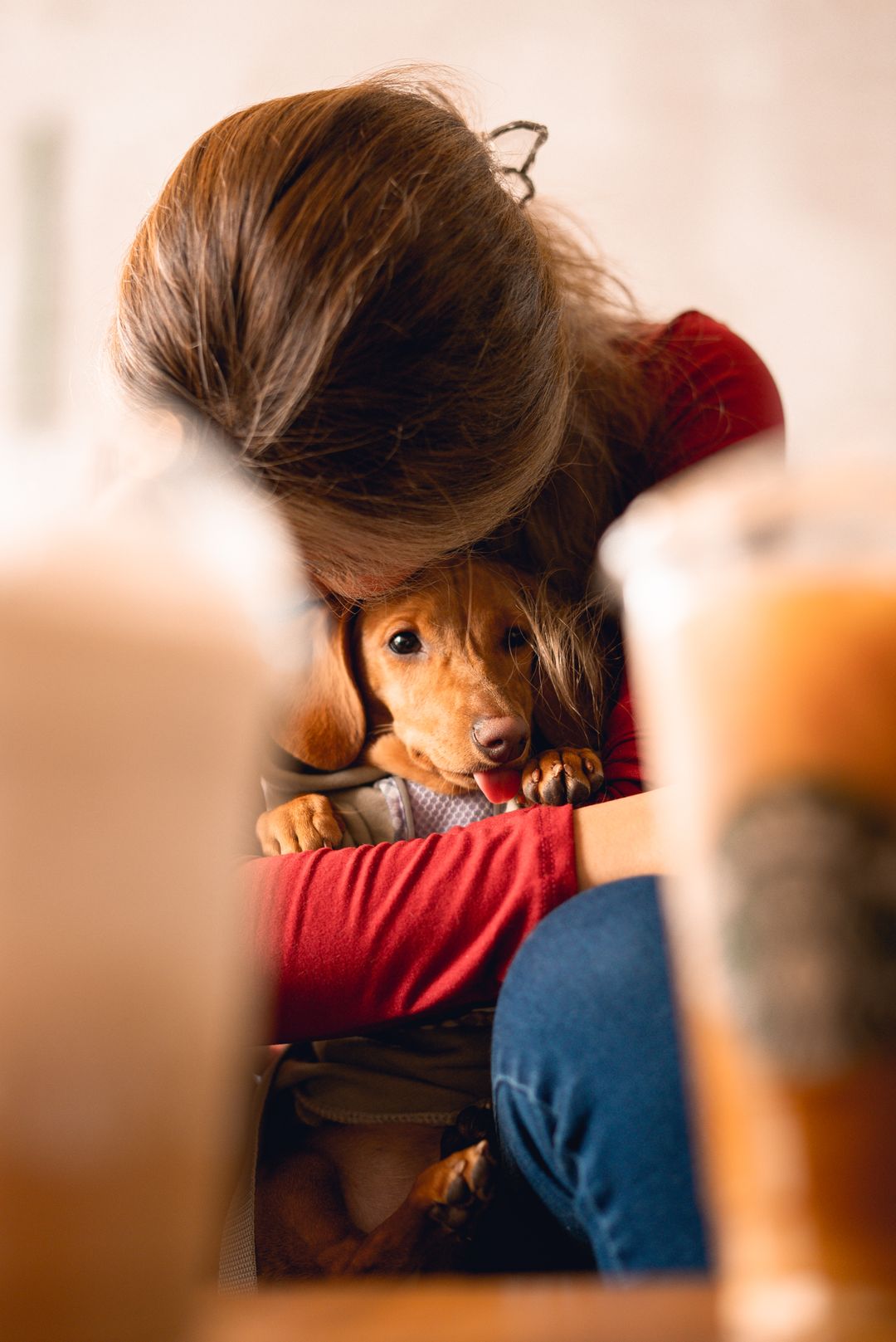 Happy puppy being cuddled inside a bright cafe