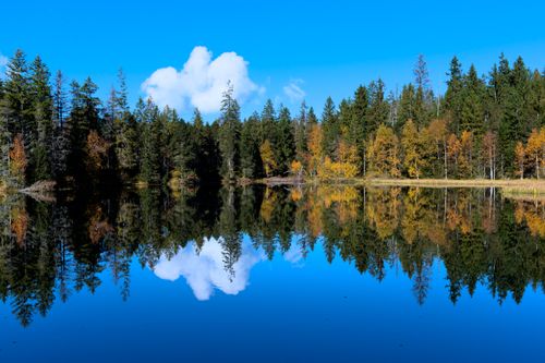 Free Serene lake mirrors the vibrant autumn forest under a clear blue sky. Stock Photo