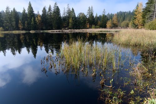Free Peaceful lake in Saignelégier, Switzerland reflecting trees and sky. Stock Photo