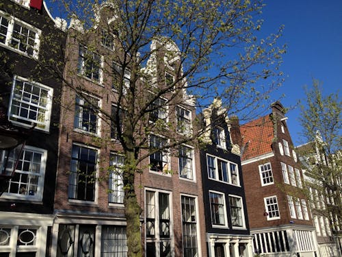 Foto d'estoc gratuïta de amsterdam, arquitectura, barri antic